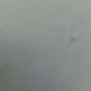 Meet your Posher, Gabriella